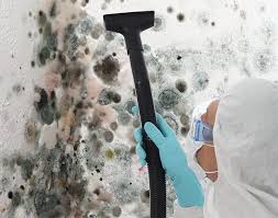 Best Comprehensive Air Testing for Mold Contaminants  in Arlington, TX